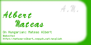 albert mateas business card